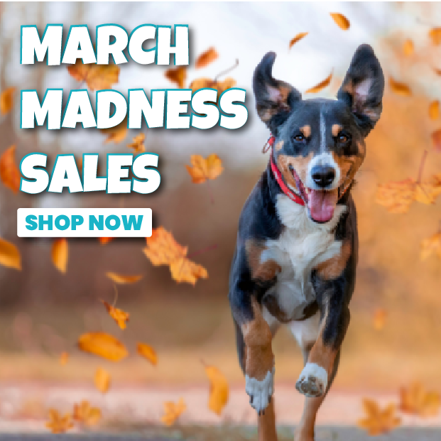 March Sales