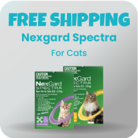 Nexgard Spectra For Cats
