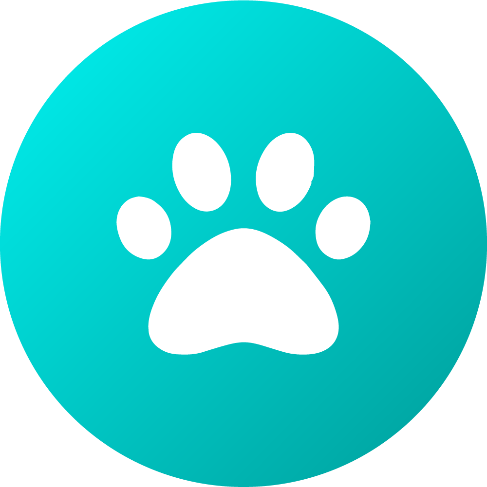 Buy Dog Harnesses Online Vet Products Direct Australia