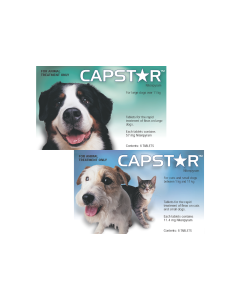 Buy Capstar Flea Tick For Cats Online VetProductsDirect