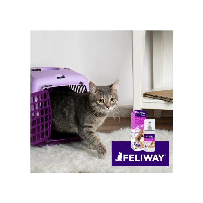 Feliway Spray 60ml VetProductsDirect