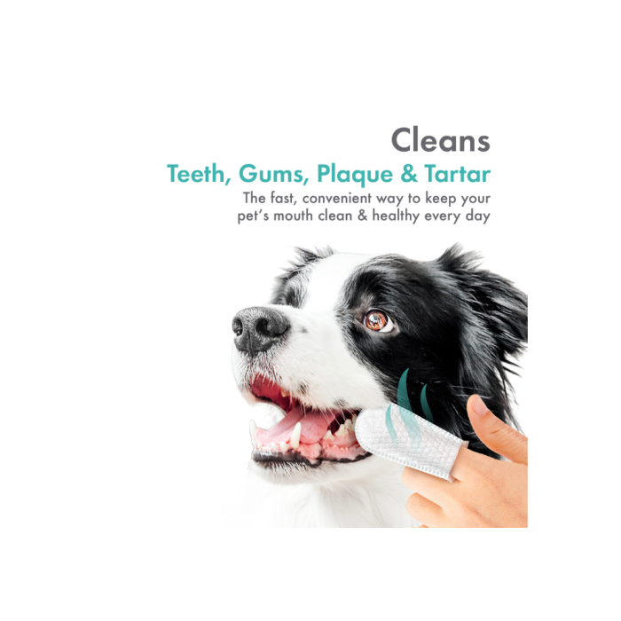 Plaque tooth wipes best sale