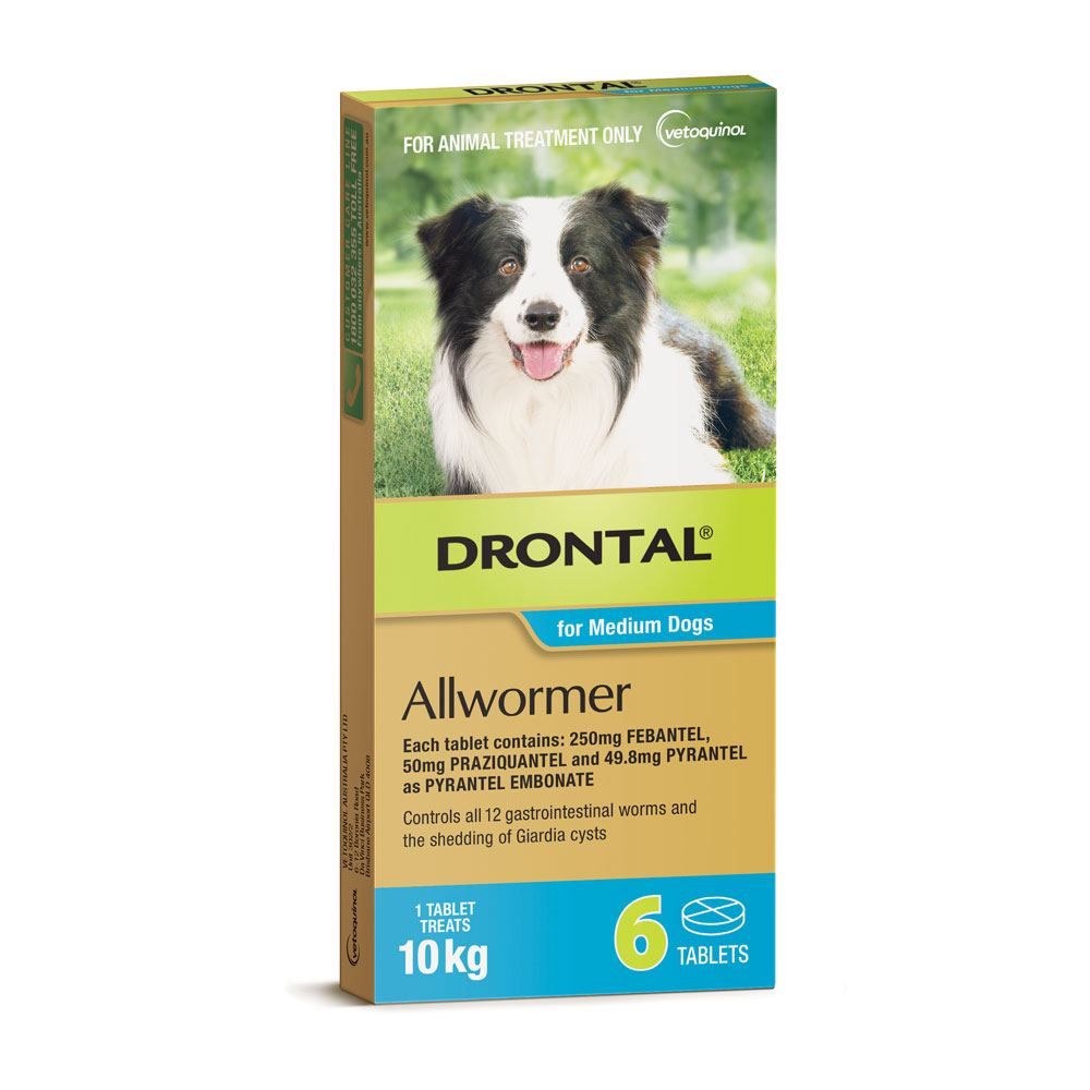 Drontal Allwormer Dog Medium 10kg Tablets VetProductsDirect