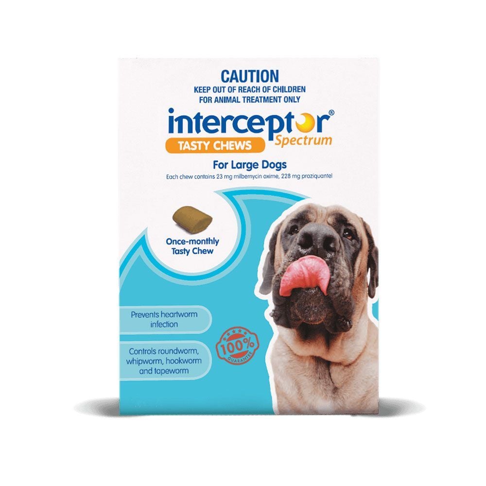 Interceptor store heartworm medicine