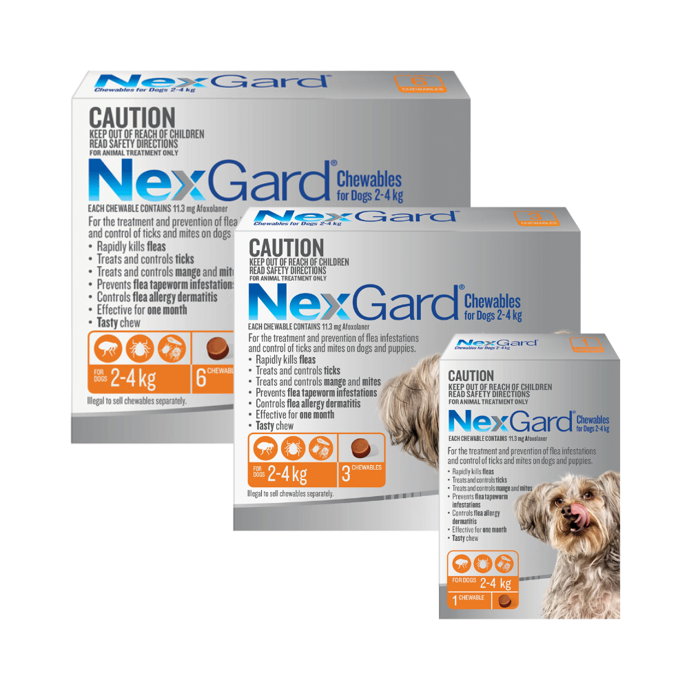 Nexgard mange treatment best sale