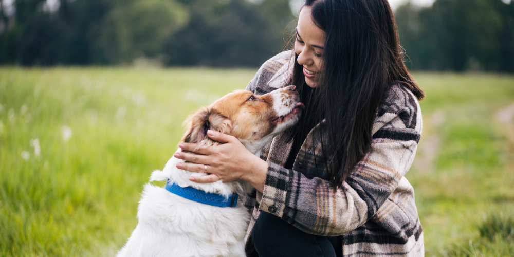 https://www.vetproductsdirect.com.au/media/magefan_blog/VPD-BLOG-LAP-DAY.png