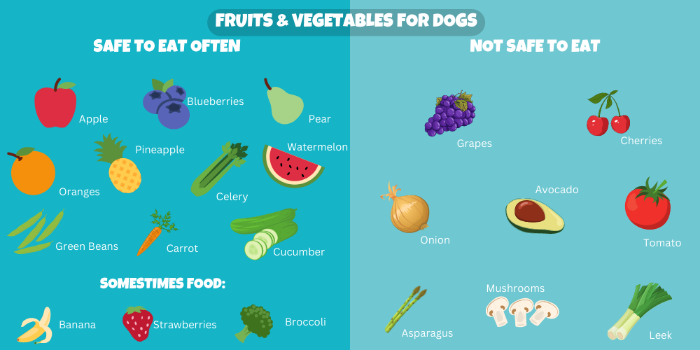 10 Lickable Delights for Your Dog: Fun Ways to Bond Without Face Licks ...