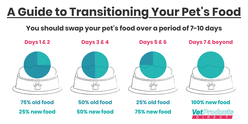 wet-or-dry-food-make-an-informed-choice-for-your-pet