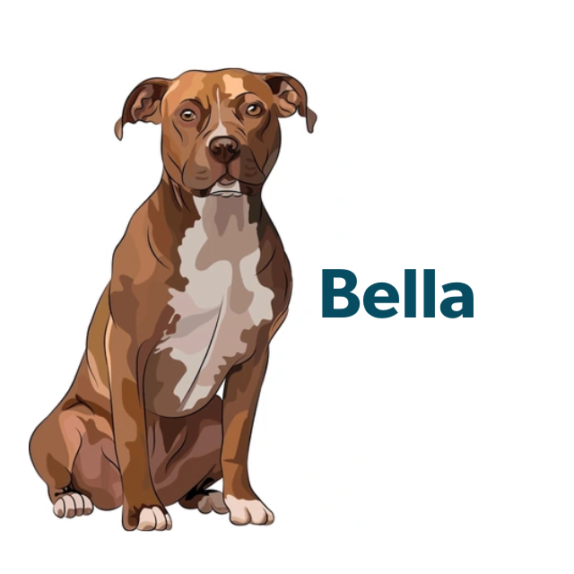 Bella