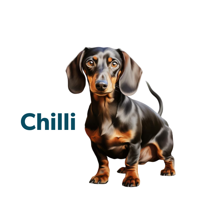 Chilli