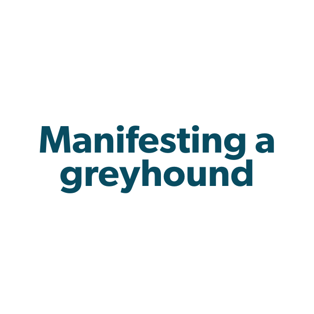 Manifesting a greyhound