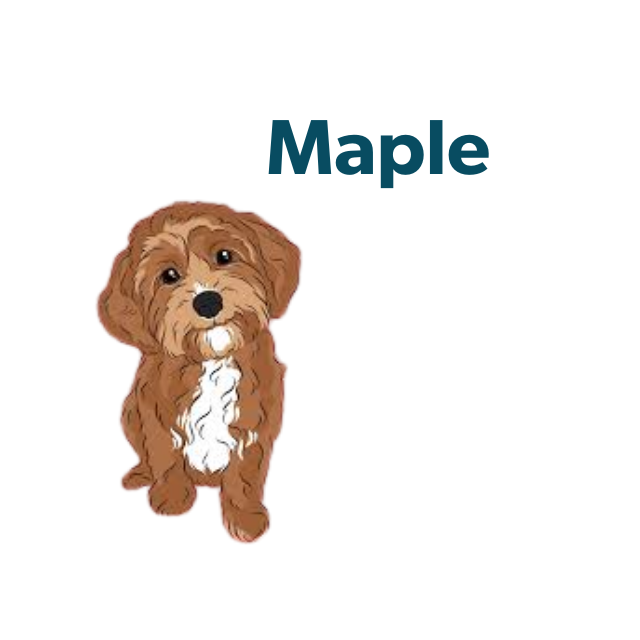 Maple