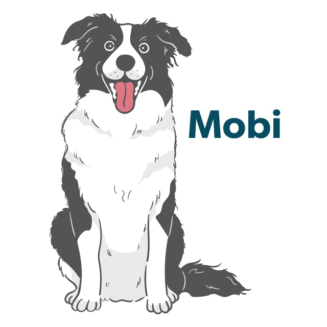 Mobi