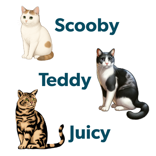 Scooby Teddy Juicy
