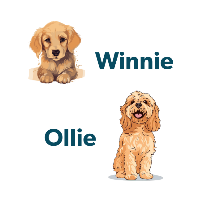 Winnie Ollie