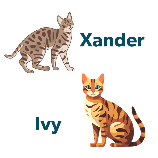Xander Ivy