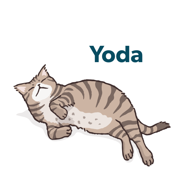 Yoda