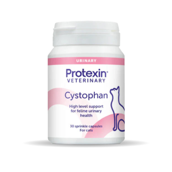 Cat Health & Supplements