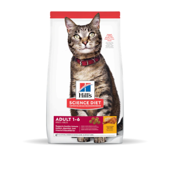 Cat Food