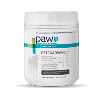 Dog Health & Supplements