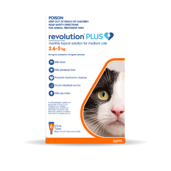 Cat Parasite